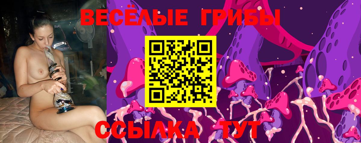 Псилоцибиновые грибы MAGIC MUSHROOMS  Вход с VPN  Моршанск 